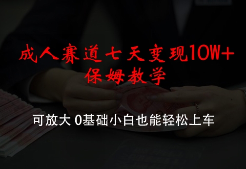 成人赛道七天变现10W+保姆教学，可放大，0基础小白也能轻松上车【揭秘】-一人公司创业项目 - 淘金吧