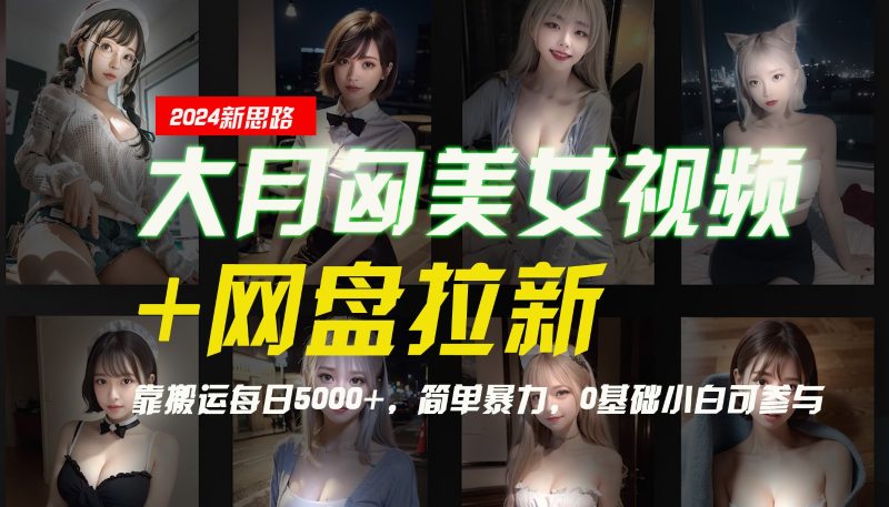 【新思路】大月匈美女视频+网盘拉新，靠搬运每日5000+，简单暴力，0基础小白可参与-一人公司创业项目 - 淘金吧