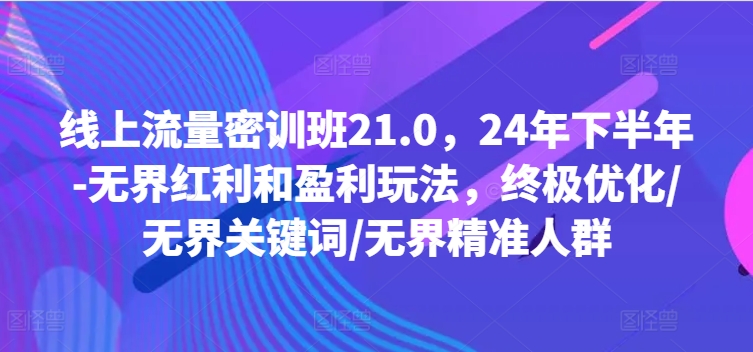 线上流量密训班21.0，24年下半年-无界红利和盈利玩法，终极优化/无界关键词/无界精准人群-淘金吧副业资源站
