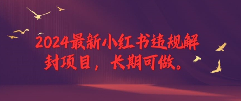 2024最新小红书违规解封项目，长期可做，一个可以做到退休的项目【揭秘】-一人公司创业项目 - 淘金吧
