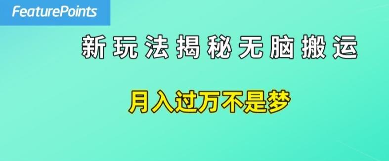 简单操作，每天50美元收入，搬运就是赚钱的秘诀【揭秘】-淘金吧副业资源站