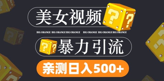 搬运tk美女视频全网分发，日引s粉300+，轻松变现，不限流量不封号【揭秘】-一人公司创业项目 - 淘金吧