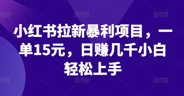 小红书拉新暴利项目，一单15元，日赚几千小白轻松上手【揭秘】-一人公司创业项目 - 淘金吧