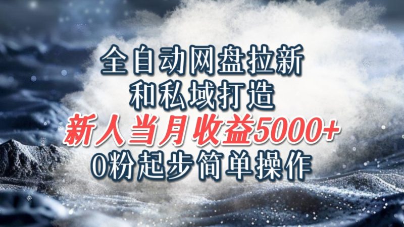 全自动网盘拉新和私域打造，0粉起步简单操作，新人入门当月收益5000以上-一人公司创业项目 - 淘金吧