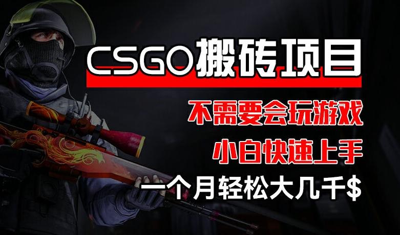 CSGO 装备搬砖项目，操作简单，不需要会玩游戏，小白也能快速上手，一个月轻松大几千【揭秘】-淘金吧副业资源站