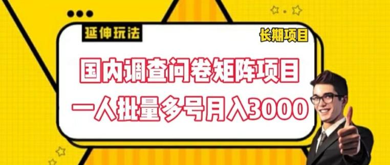 国内调查问卷矩阵项目，一人批量多号月入3000【揭秘】-一人公司创业项目 - 淘金吧
