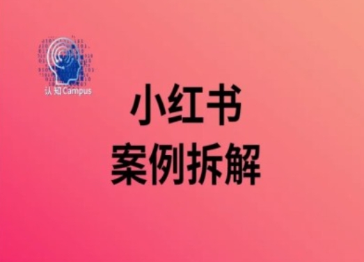 小红书案例拆解，深度解读小红书40万粉-一人公司创业项目 - 淘金吧