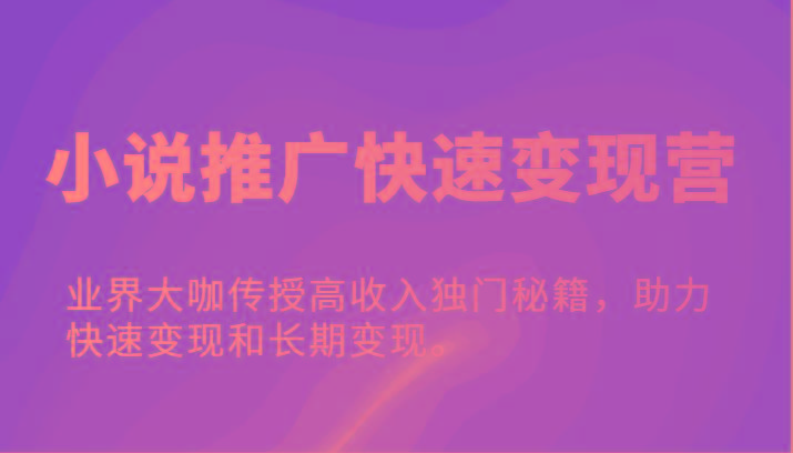 小说推广快速变现营-业界大咖传授高收入独门秘籍，助力快速变现和长期变现。-一人公司创业项目 - 淘金吧