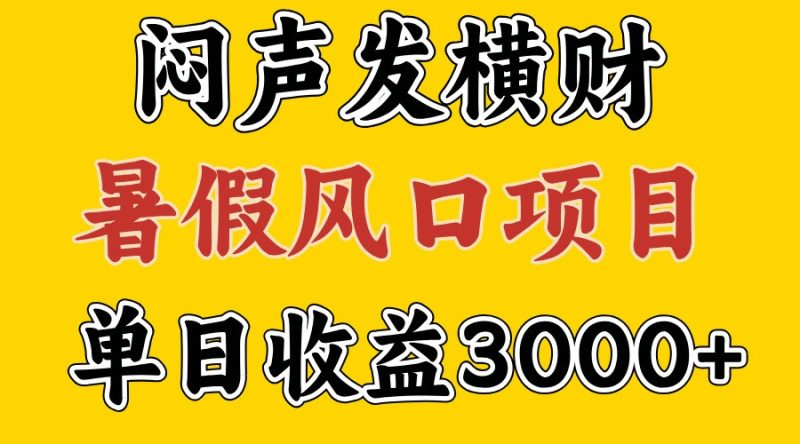 30天赚了7.5W 暑假风口项目，比较好学，2天左右上手-淘金吧副业资源站