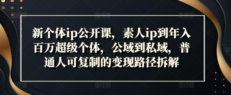 新个体ip公开课，素人ip到年入百万超级个体，公域到私域，普通人可复制的变现路径拆解-一人公司创业项目 - 淘金吧
