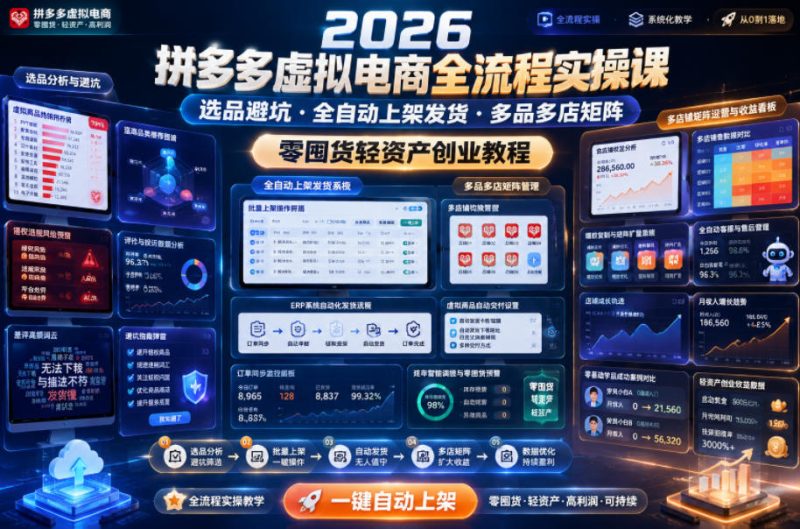 2026拼多多虚拟电商全流程实操课，选品避坑・全自动上架发货・多品多店矩阵，零囤货轻资产创业教程-一人公司创业项目 - 淘金吧