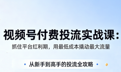 渔财老师·视频号付费投流实战课(更新5月)-一人公司创业项目 - 淘金吧