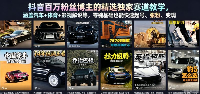 抖音百万粉丝博主的精选独家赛道教学,涵盖汽车+体育+影视解说等,零基础也能快速起号、涨粉、变现-一人公司创业项目 - 淘金吧