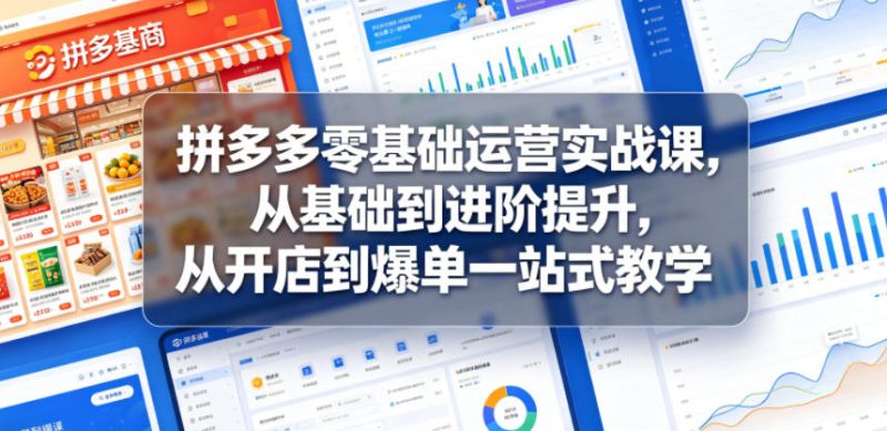 拼多多零基础运营实战课，从基础到进阶提升，从开店到爆单一站式教学-一人公司创业项目 - 淘金吧