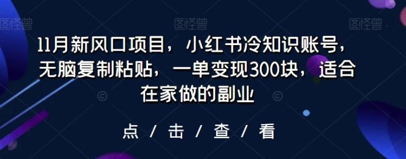 11月新风口项目，小红书冷知识账号，无脑复制粘贴，一单变现300块，适合在家做的副业-一人公司创业项目 - 淘金吧