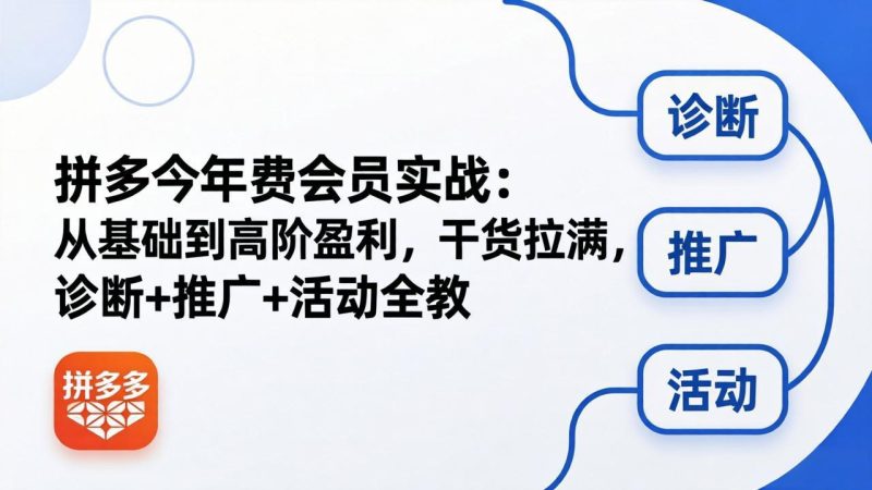 拼多多年费会员实战(更新26年5月7-一人公司创业项目 - 淘金吧