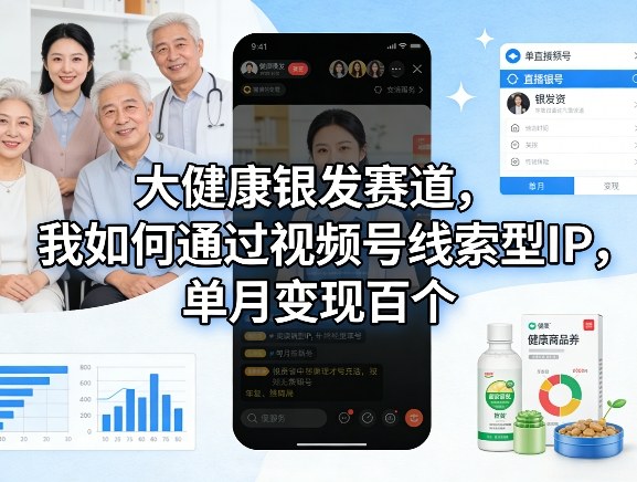 大健康银发赛道，我如何通过视频号线索型IP，单月变现百个-一人公司创业项目 - 淘金吧