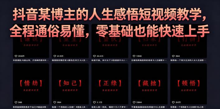 抖音某博主的灰太狼人生感悟短视频教学，全程通俗易懂，零基础也能快速上手-一人公司创业项目 - 淘金吧