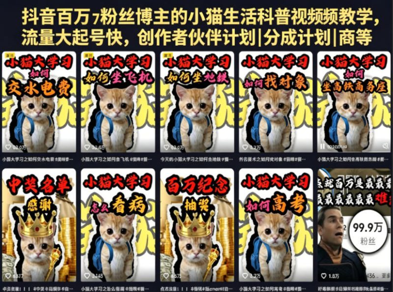 抖音百万粉丝博主的小猫生活科普视频教学，流量大起号快，创作者伙伴计划|分成计划|商单|收徒等-一人公司创业项目 - 淘金吧