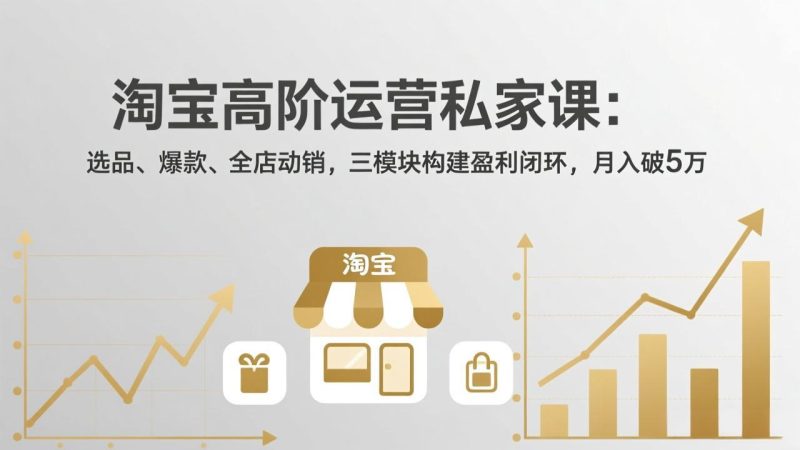 淘宝高阶运营私家课(更新26年4月-一人公司创业项目 - 淘金吧