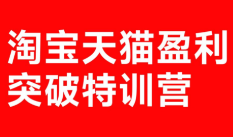 玺承·淘宝天猫盈利突破特训营(25年12月线下课)【音频+字幕】-一人公司创业项目 - 淘金吧