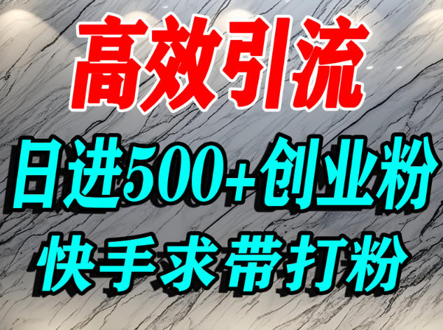 怎么打创业粉？快手求带视角精准引流创业粉，宝妈、学生群体日进500+精准流量-一人公司创业项目 - 淘金吧